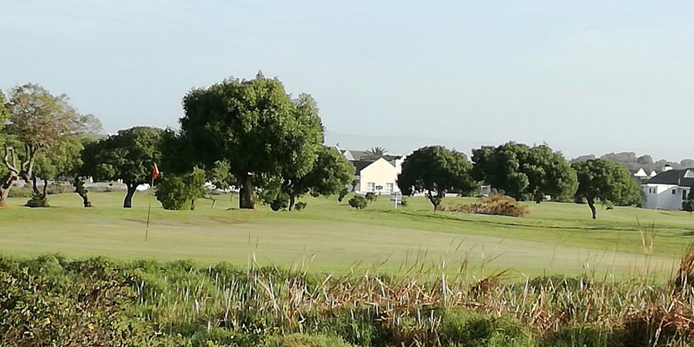 Baytower@54 Golf